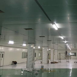 威海電子廠房?jī)艋こ虄艋?chē)間等級(jí)裝修